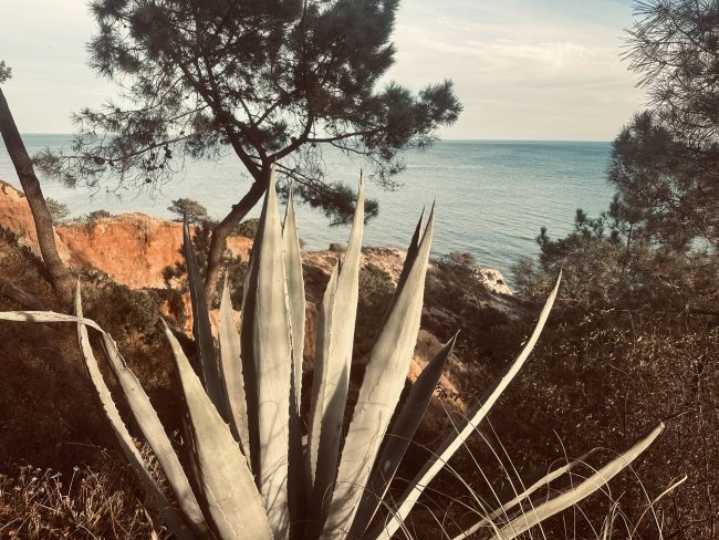 Portugal Teil II – Die Algarve